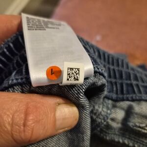 American Eagle Outfitters Blue Jean Shorts